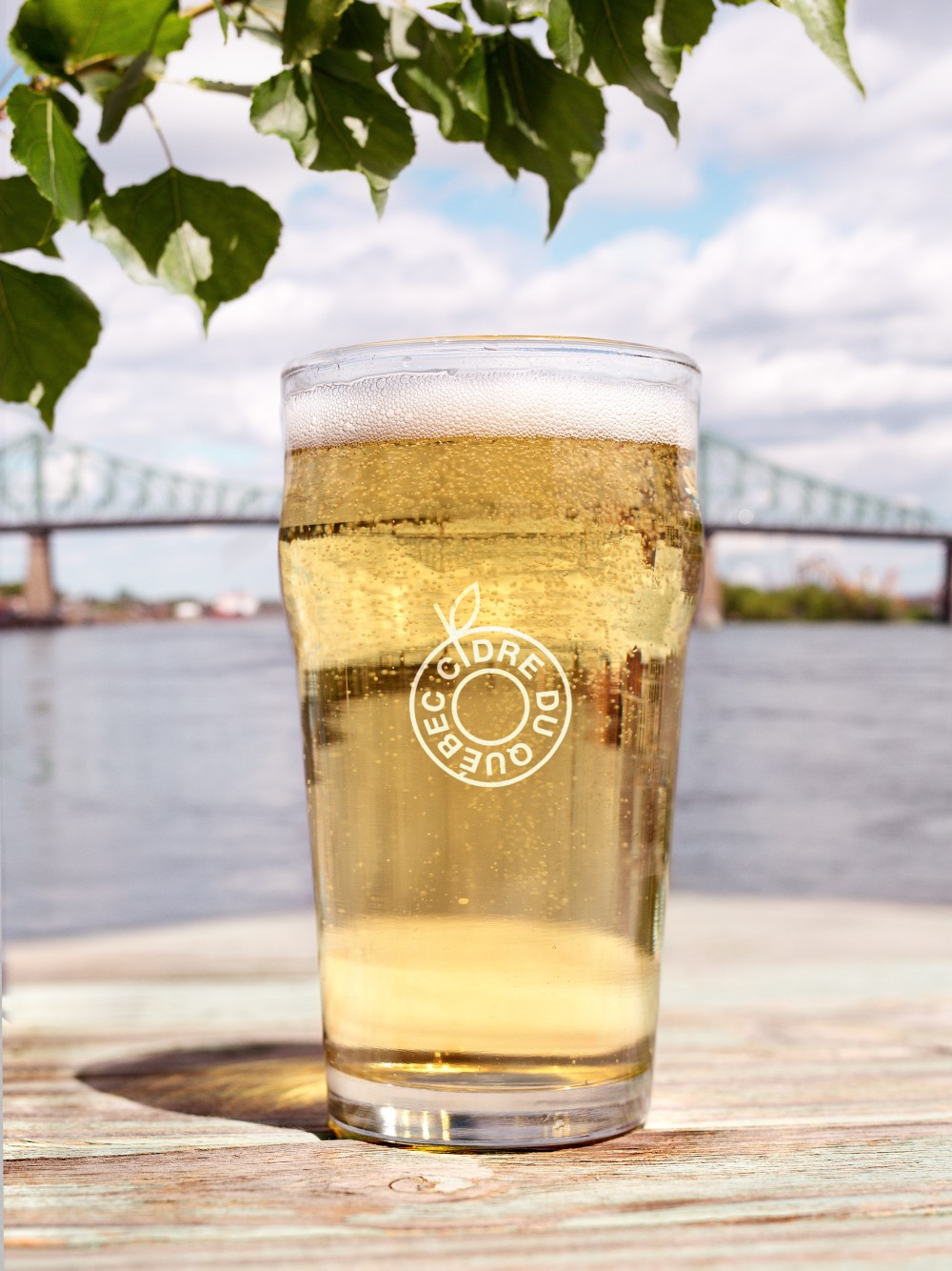 New logo and Identity for Producteurs de Cidre du Québec by lg2