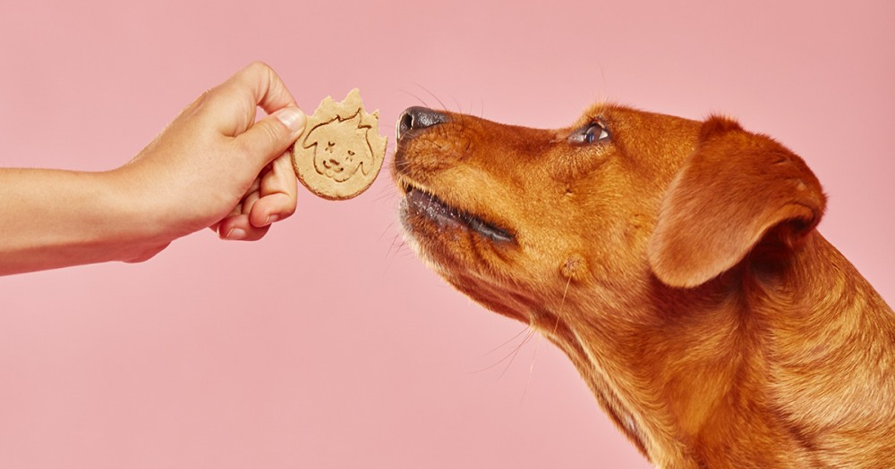 New  logo  and Packaging for Hot Hounds by Rethink