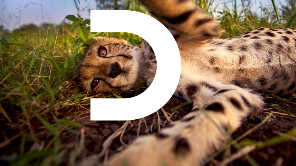 New logo for Discovery Channel