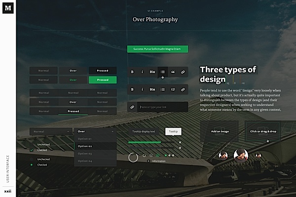 Medium Brand Development Study