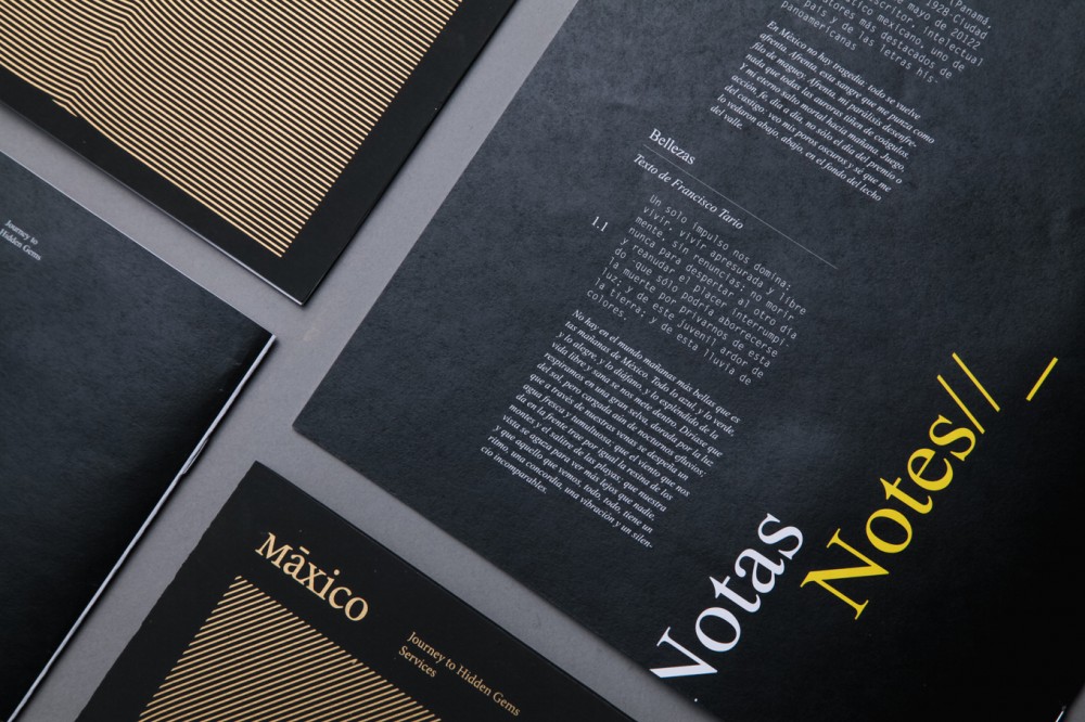 Brand Identity & Graphic Design: Máxico