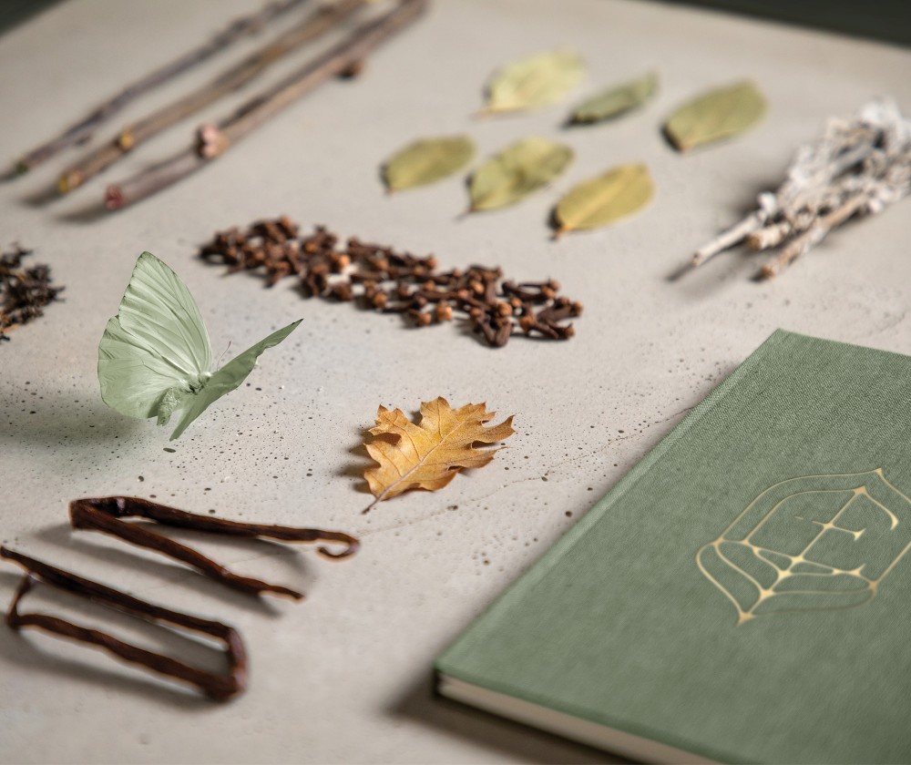 New logo and Packaging for Æcorn Aperitifs by Pearlfisher
