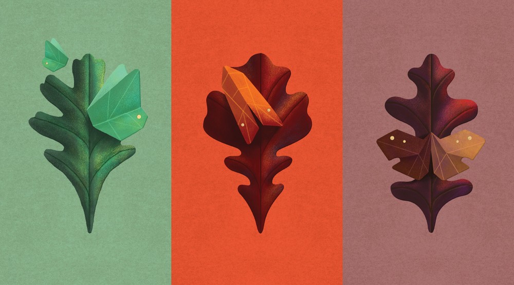 New logo and Packaging for Æcorn Aperitifs by Pearlfisher