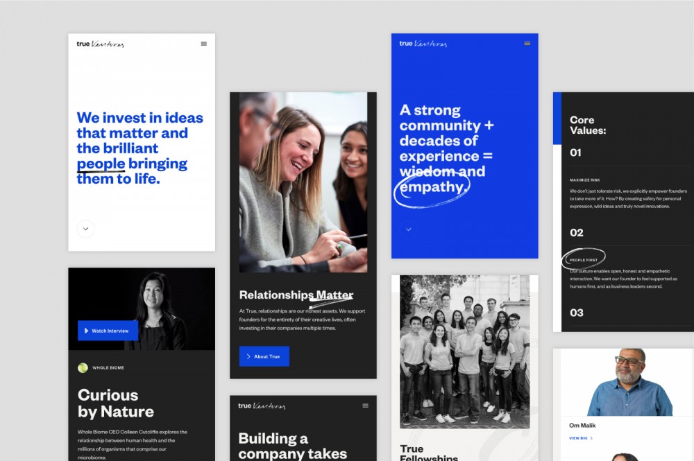 New logo and Identity for True Ventures by Ueno