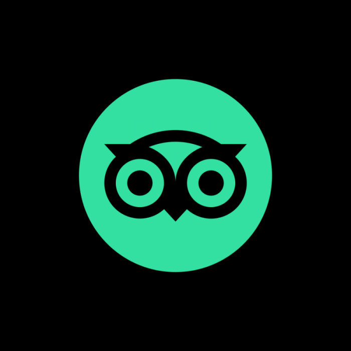 Tripadvisor icon logo