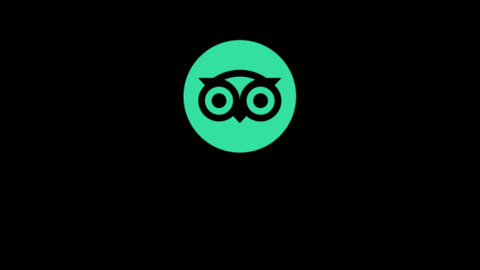Tripadvisor logo