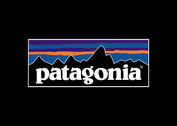 pantagonia logo 3000x2130