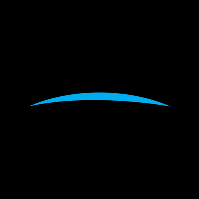 MBRSC logo transparent