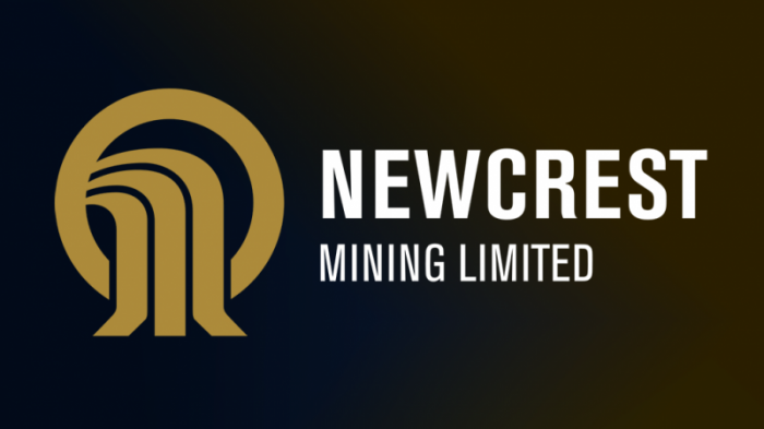 Newcrest Mining White Logo.png