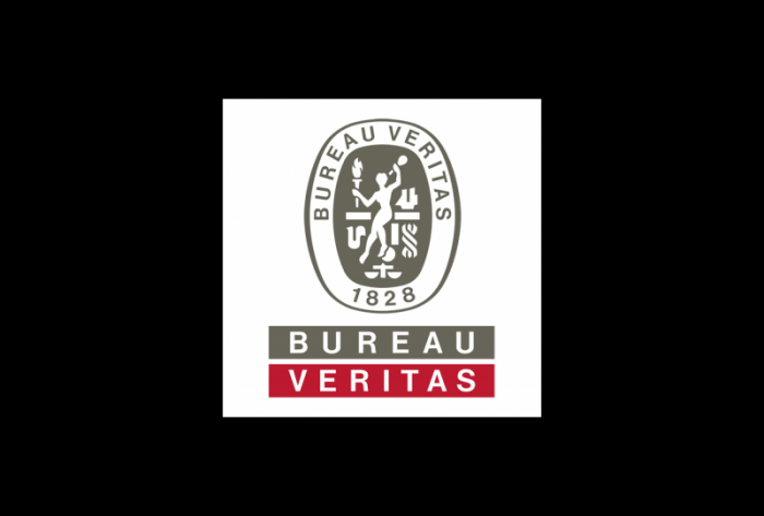 全球性测试检验和认证公司bureau veritas标志logo设计