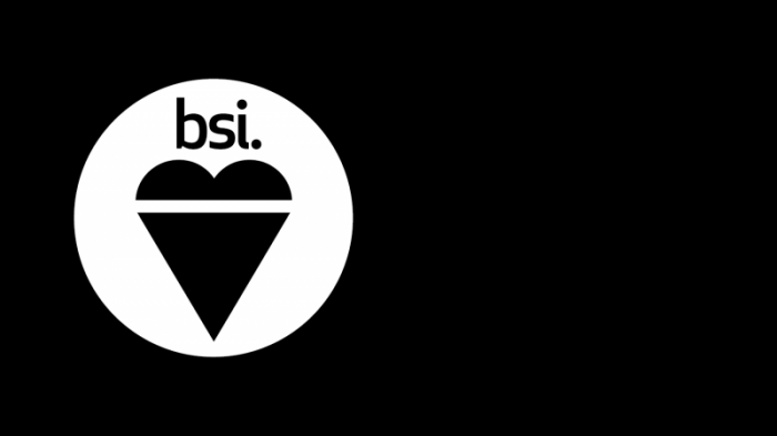 BSI logo, ISO 14001 Environmental Management