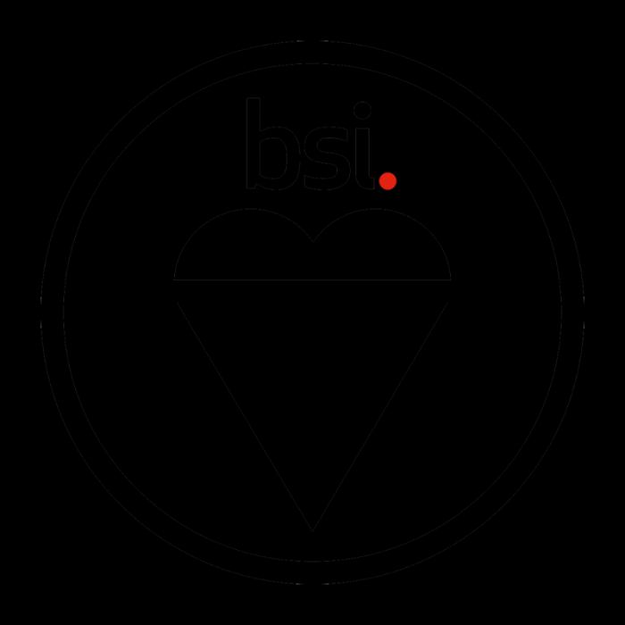 BSI logo circle.