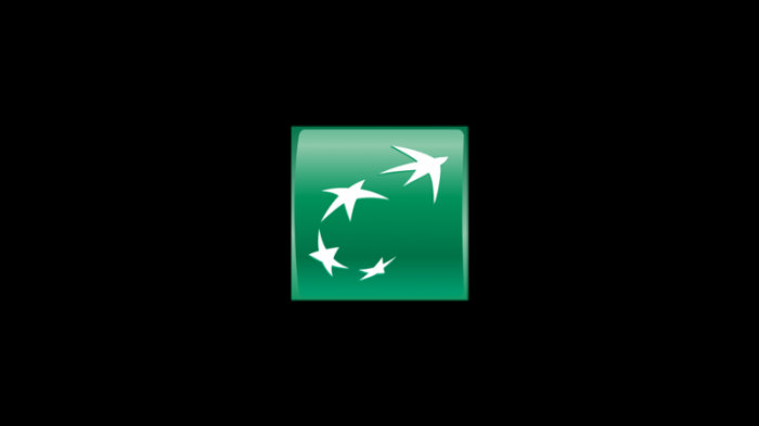 BNP Paribas logo