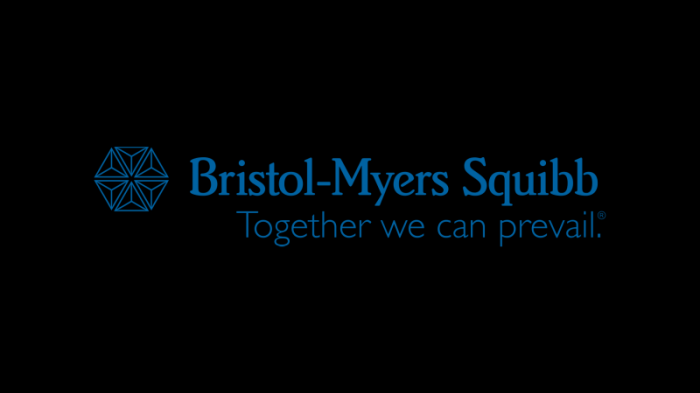 1750px BMS logo