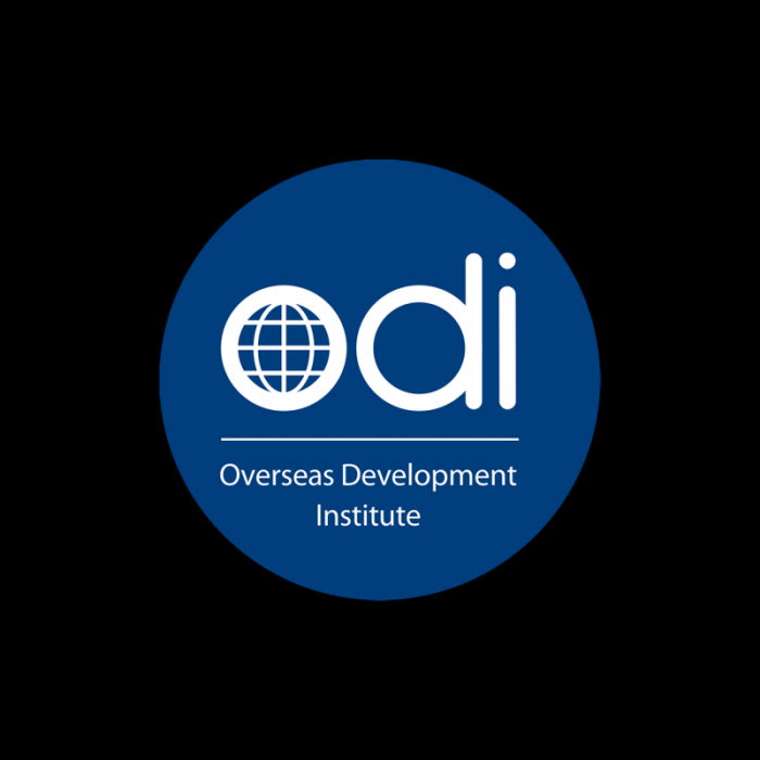 Overseas Development Institute logo