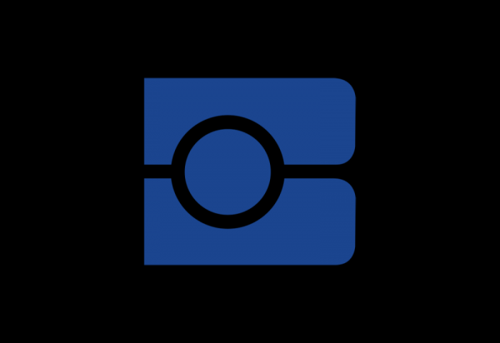 布雷迪Brady制造和供應(yīng)識別logo設(shè)計