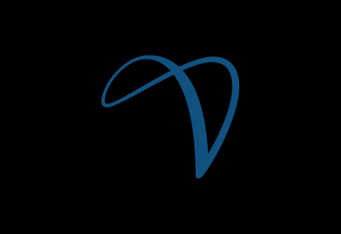 Hyder跨國咨詢logo設計
