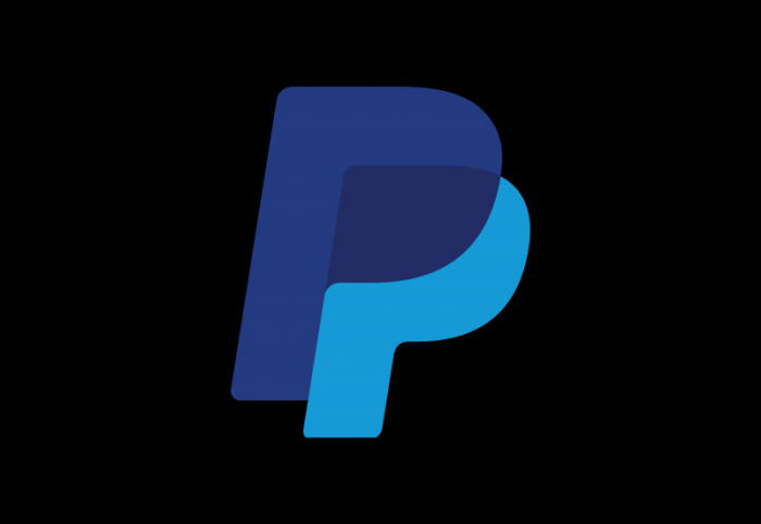 PayPal Logo Icon