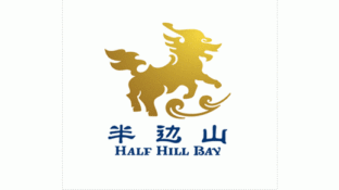 寧波半邊山投資LOGO