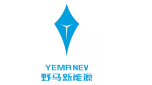 野马新能源品牌星芒LOGO
