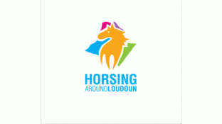 Horsing