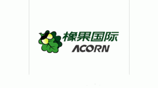 橡果国际LOGO