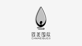辰美國際LOGO