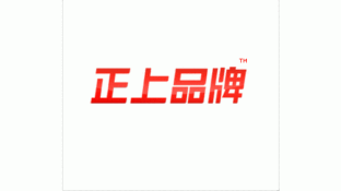 正上品牌設計LOGO