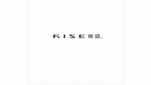 輝盛品牌設計LOGO