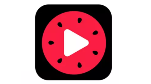 西瓜視頻的歷史LOGO
