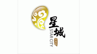 星城LOGO