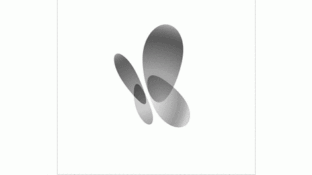 MSN新蝴蝶LOGO