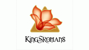 金木棉國際LOGO