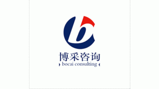 博采咨詢LOGO