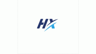 鴻星電子LOGO