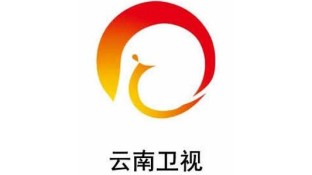 云南衛視LOGO