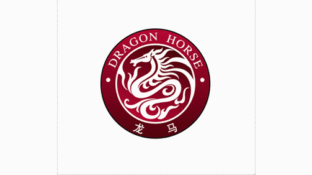 龍馬國際留學LOGO