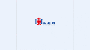 東北網(wǎng)LOGO