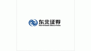 东北证券LOGO