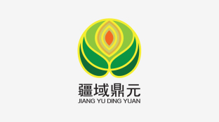 疆域鼎元LOGO