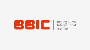 布姆國際LOGO