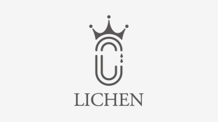 丽宸国际LOGO