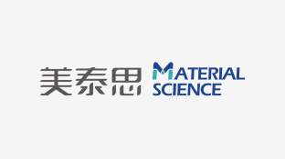 美泰思LOGO