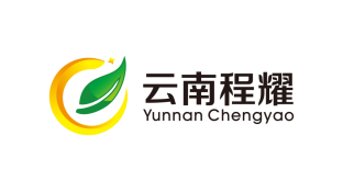 云南程耀LOGO