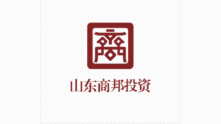 山東商邦投資LOGO
