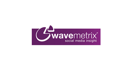 Wavemetrix的歷史LOGO