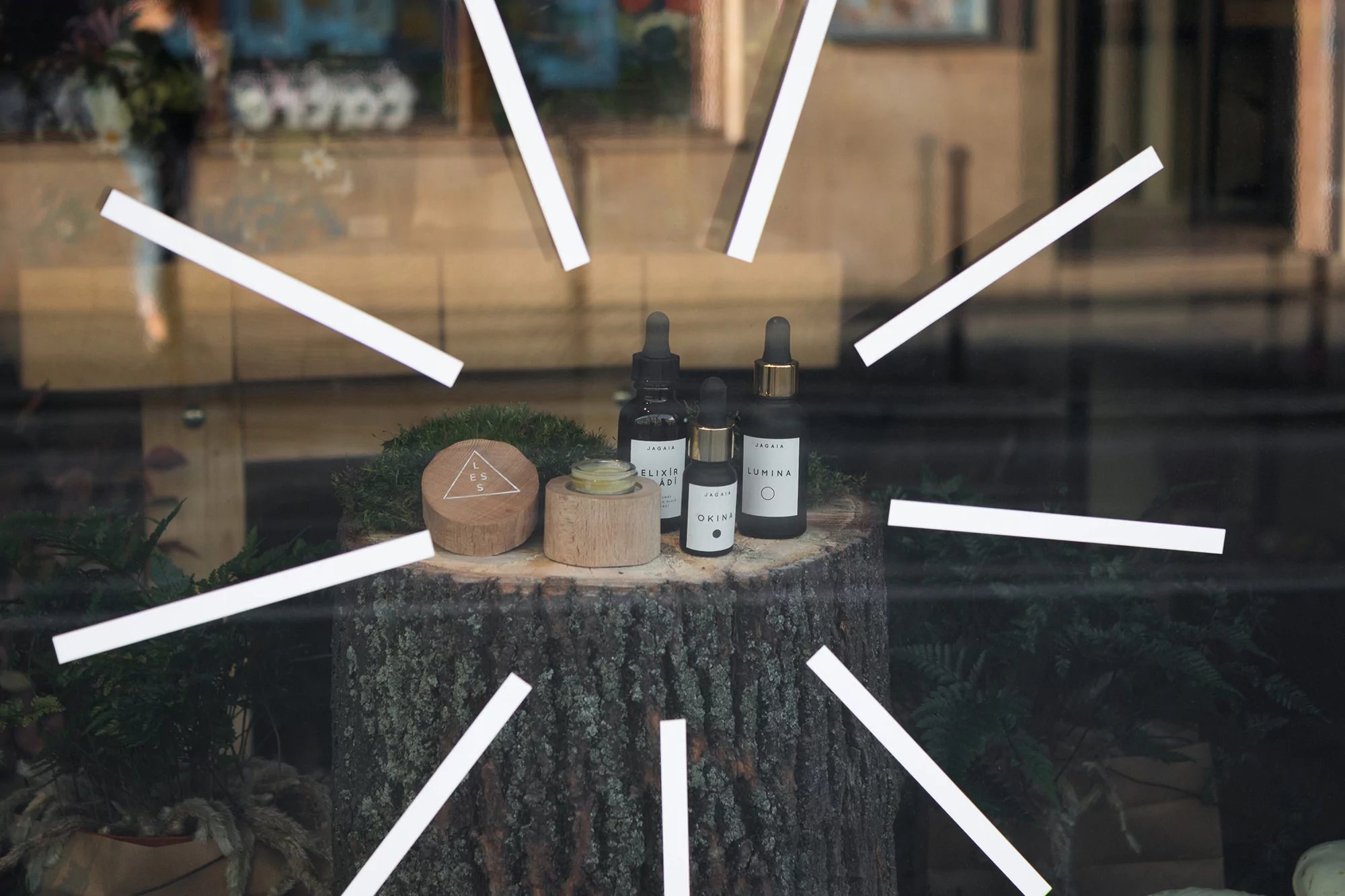 Ivana Palecková’s elegant, eco-centric identity for Botanical Lab is led by organic irregularity