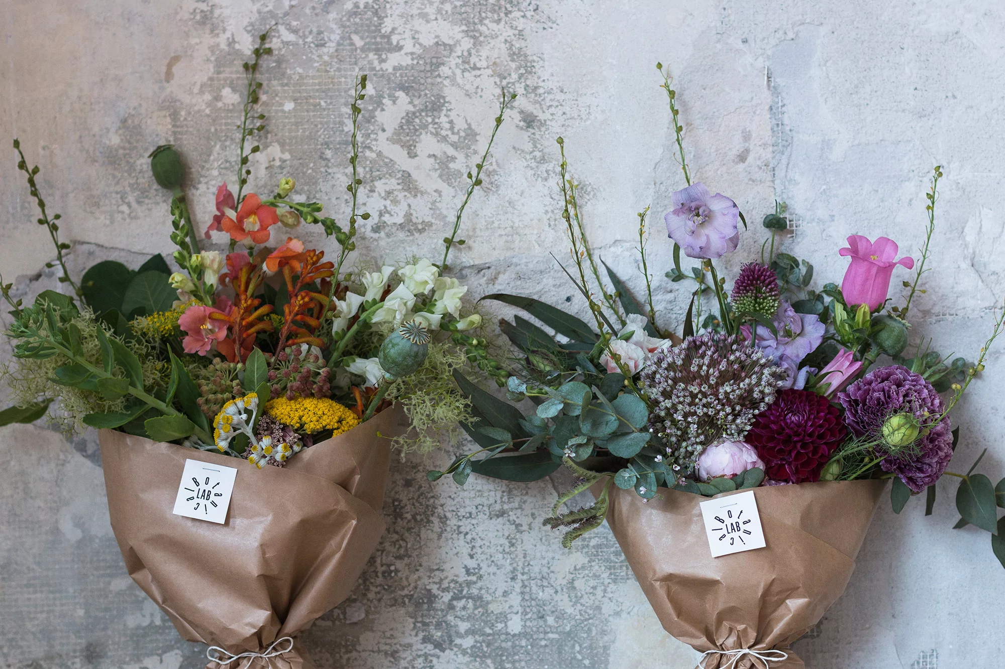 Ivana Palecková’s elegant, eco-centric identity for Botanical Lab is led by organic irregularity