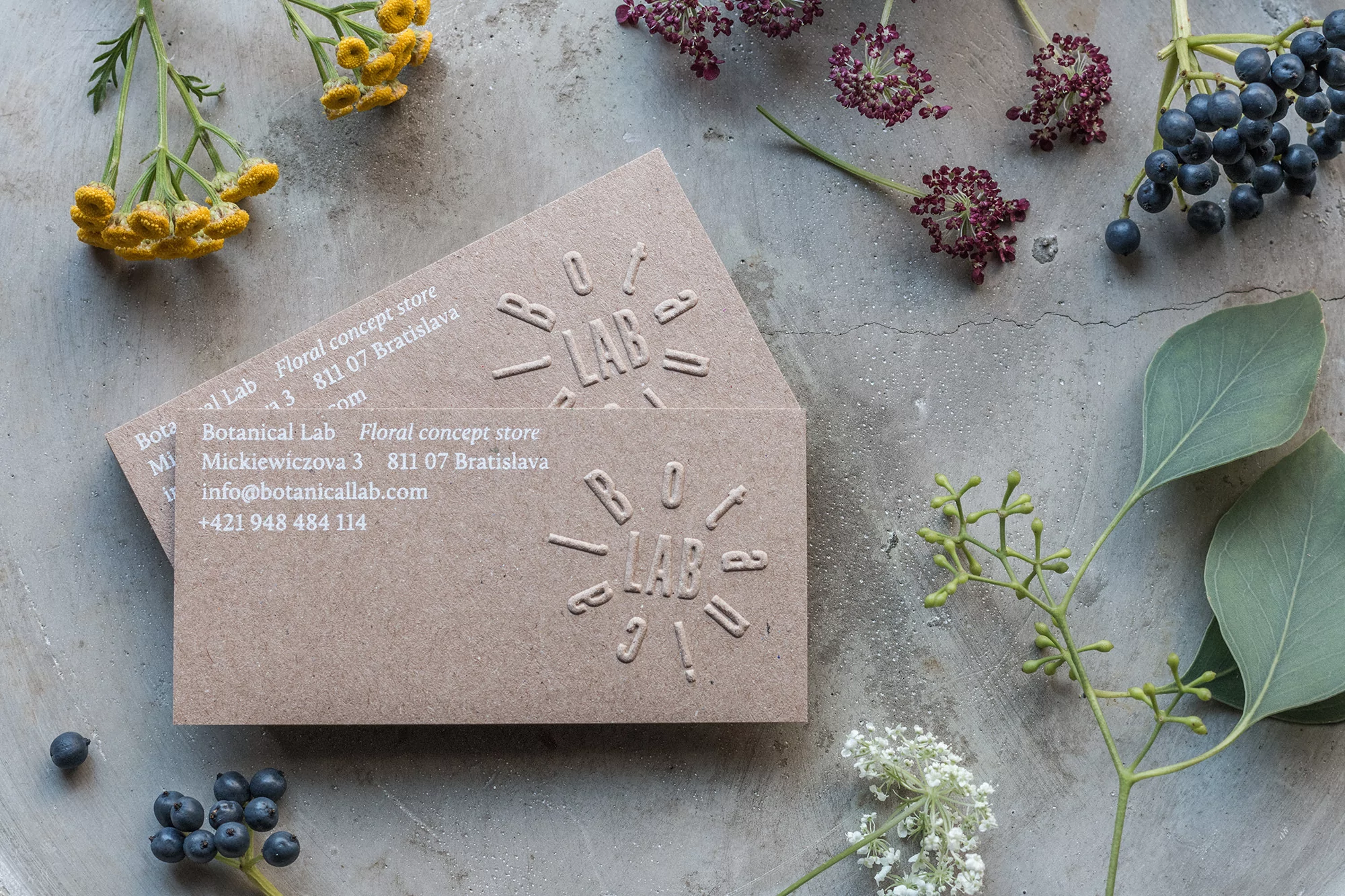 Ivana Palecková’s elegant, eco-centric identity for Botanical Lab is led by organic irregularity