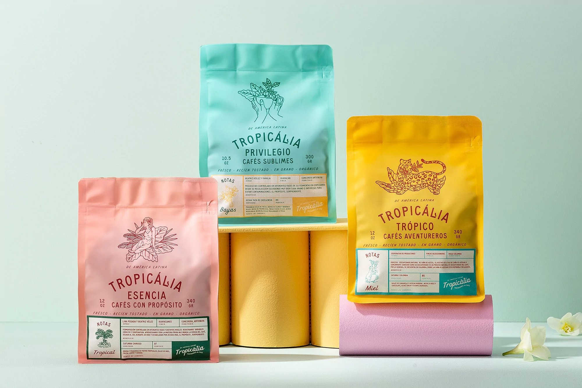 The Edit: five projects including S&Co.’s tropical identity for Colombian coffee maker Tropicália